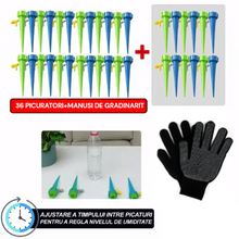 Încarcă imaginea în vizualizatorul Galerie, NOU - Set 36 Picuratori Automate Pentru Udarea Plantelor+ CADOU Manusi De Gradinarit