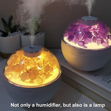 Încarcă imaginea în vizualizatorul Galerie, NOU - Difuzor De Aromaterapie cu Flori Artificiale, Iluminare Alb Cald, Alb/Mov + 12 Uleiuri Esentiale CADOU