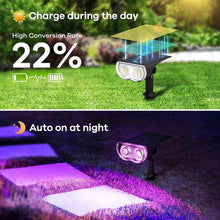 Încarcă imaginea în vizualizatorul Galerie, NOU - Lampa Solara RGB cu LED-uri Colorate, Panou Solar, Sistem de Prindere, 7 Culori, Pornire si Oprire Automata