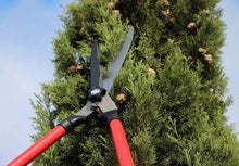 Încarcă imaginea în vizualizatorul Galerie, NOU - Foarfeca de Gradina GERMAN Garden PRO , Cu Lama Din Otel Carbon, 23 cm Lungime