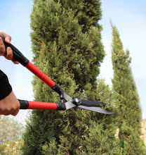 Încarcă imaginea în vizualizatorul Galerie, NOU - Foarfeca de Gradina GERMAN Garden PRO , Cu Lama Din Otel Carbon, 23 cm Lungime