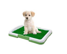 Încarcă imaginea în vizualizatorul Galerie, NOU: Toaleta cu iarba artificiala pentru animale, Puppy Potty Pad