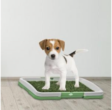 Încarcă imaginea în vizualizatorul Galerie, NOU: Toaleta cu iarba artificiala pentru animale, Puppy Potty Pad