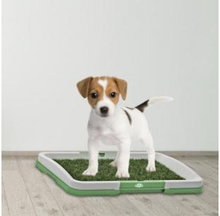 Încarcă imaginea în vizualizatorul Galerie, NOU: Toaleta cu iarba artificiala pentru animale, Puppy Potty Pad
